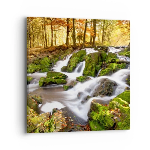 Obraz na plátne - Chvatom jesenným lesom - 40x40 cm