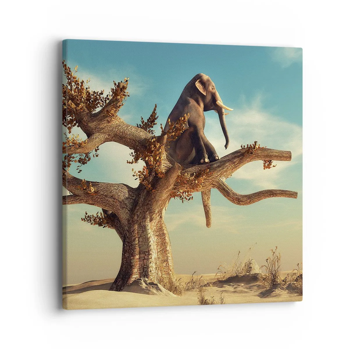 Obraz na plátne - Nový uhol pohľadu - 40x40 cm