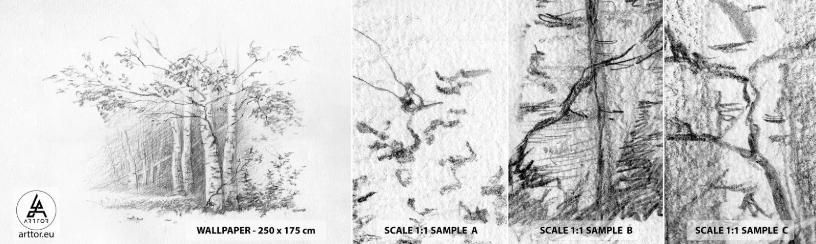 Vzorka samolepiacej fototapety Deluxe Sticker - Svetlo brezového lesa - les, Breza, Stromy - 100x30 cm