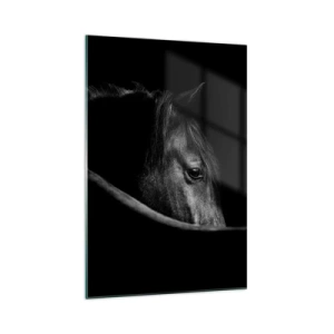 Obraz na skle - Čierny knieža - 70x100 cm