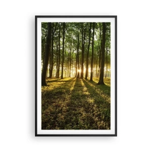 Plagát v čiernom ráme - Fotografie všetkých jarí - 61x91 cm
