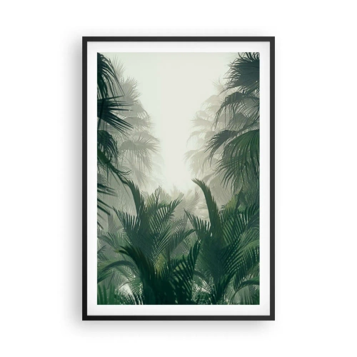 Plagát v čiernom ráme - Tropická záhada - 61x91 cm