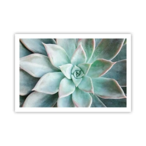 Plagát - Srdce púšte - 91x61 cm