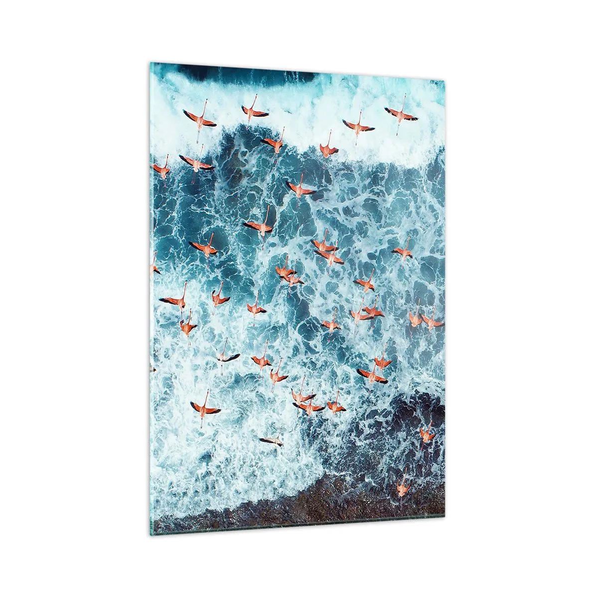 Obraz na skle - Prímorský sprievod - 50x70 cm