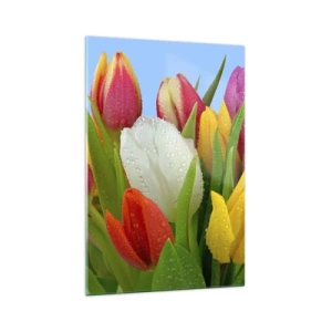 Obraz na skle - Kvetinová dúha v kvapkách rosy - 70x100 cm