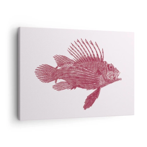 Obraz na plátne - Kresba ryby v červenom odtieni - 70x50cm - Obyvateľka exotických vôd - Moderná nástenná dekorácia do obývacej izby a spálne ARTTOR