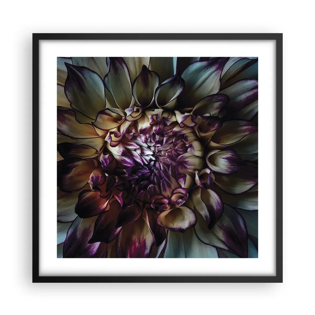 Plagát v čiernom ráme - Rozkvet mladosti - 50x50 cm