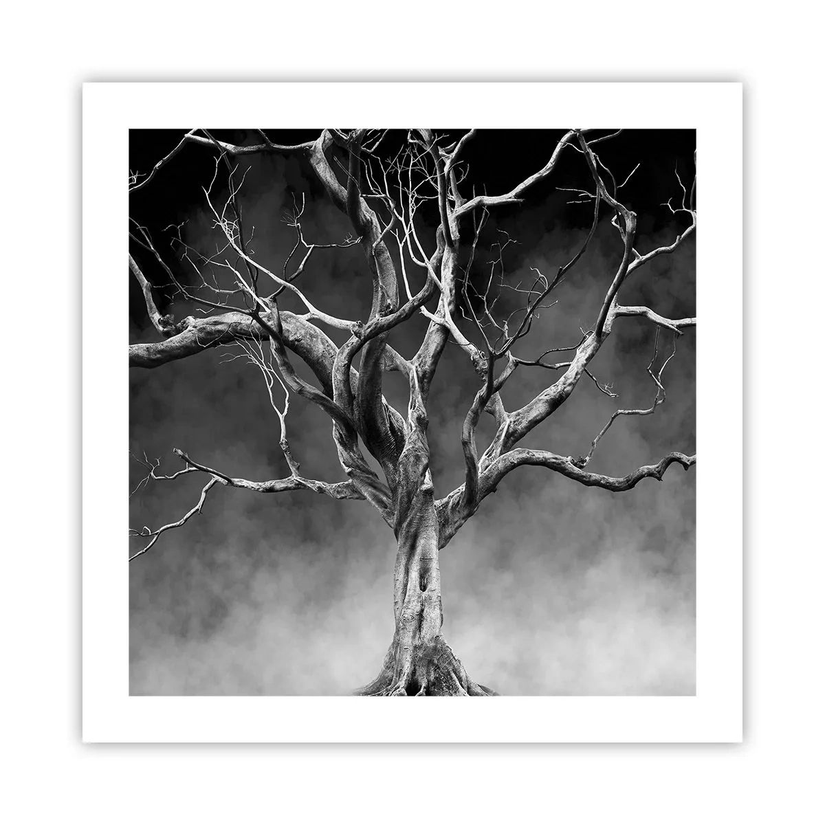 Plagát - Pôvodné a sväté - 50x50 cm