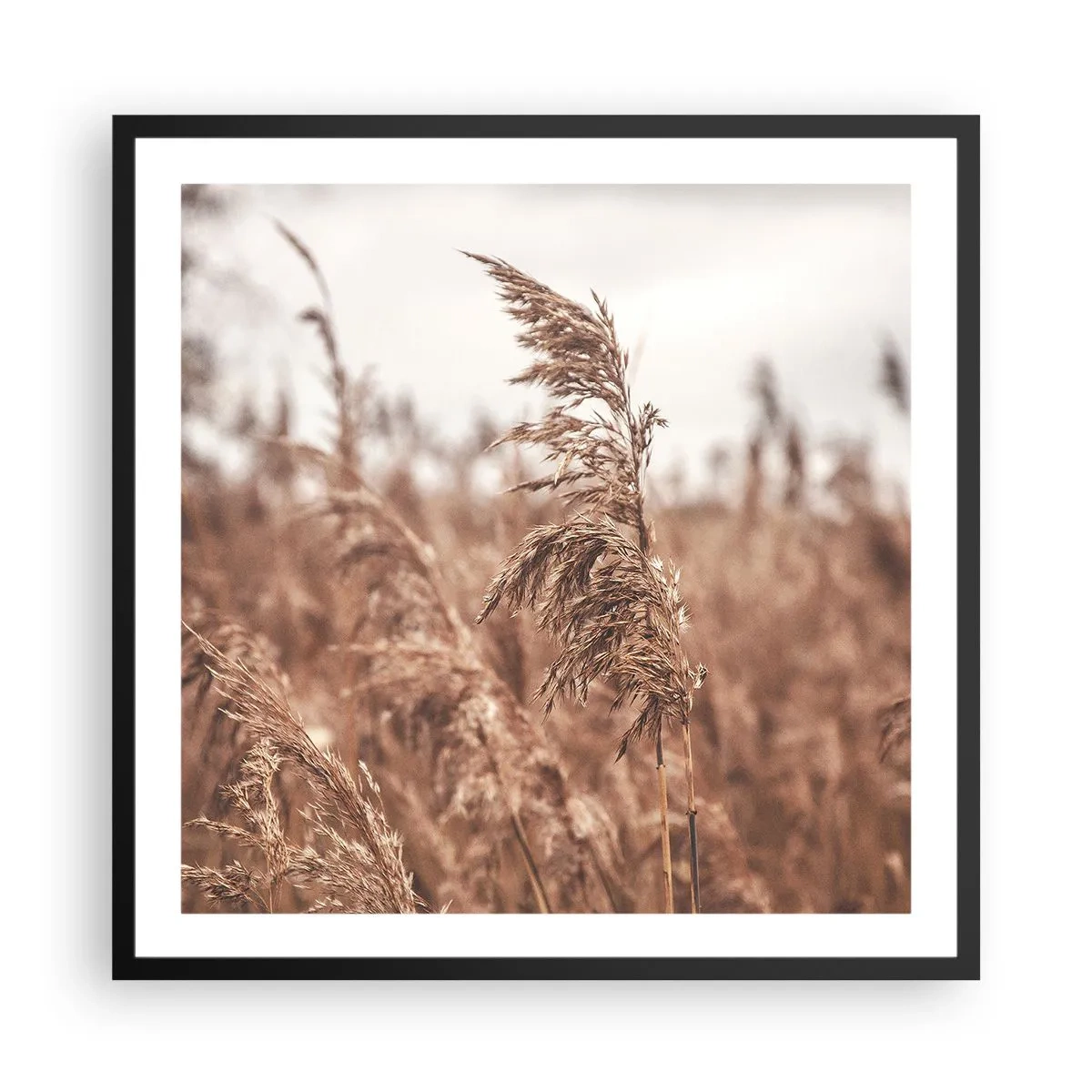 Plagát v čiernom ráme - Na poliach už je jeseň - 60x60 cm