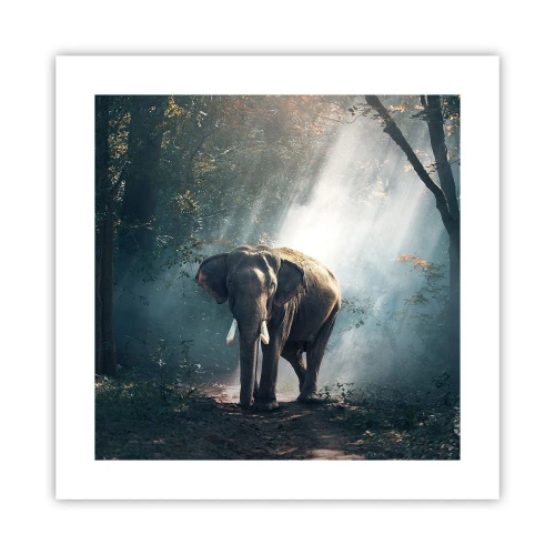 Plagát - Pokojná prechádzka - 40x40 cm