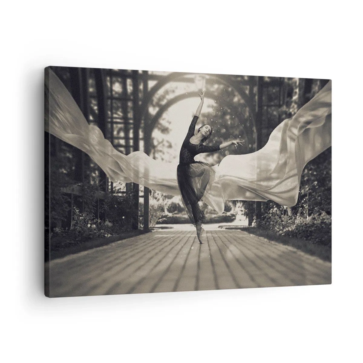 Obraz na plátne - Tanečnica v splývavých šatách predvádza skok na čiernobielom pozadí záhrady. - 70x50cm - Tanec ducha záhrady - Moderná nástenná dekorácia do obývacej izby a spálne ARTTOR