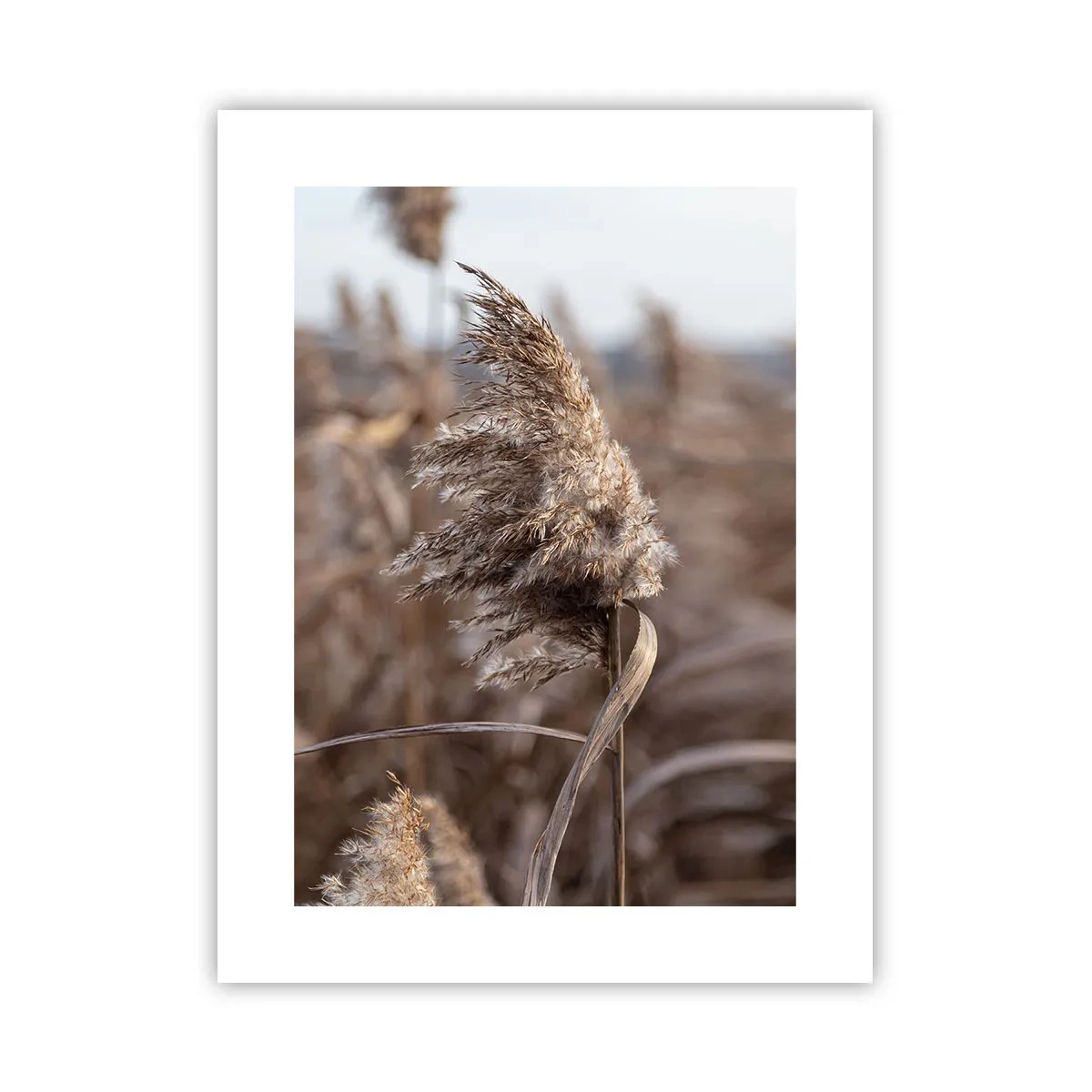 Plagát - Čas odletieť s vetrom - 30x40 cm