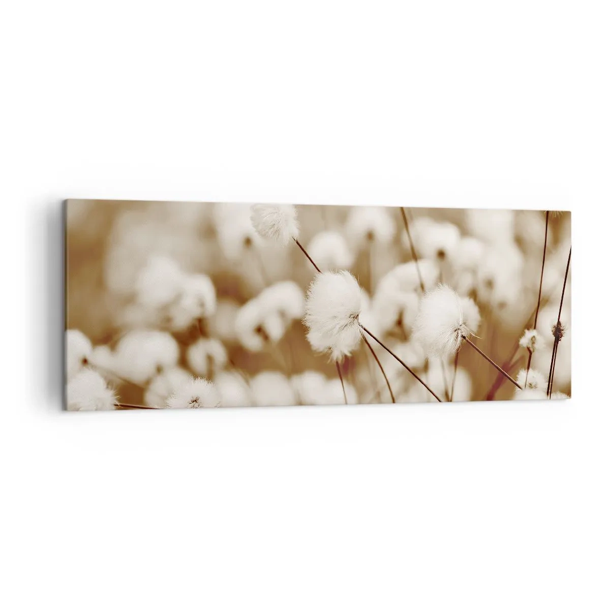 Obraz na plátne - Chlpatý lán - 140x50 cm