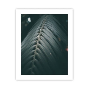 Plagát - Presnosť prírody - 40x50 cm