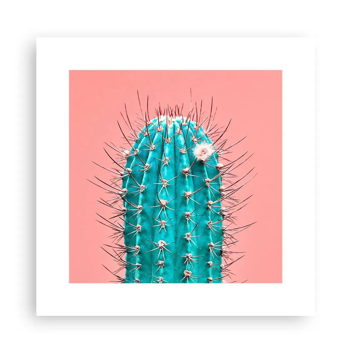 Plagát - Len pozeraj - 30x30 cm