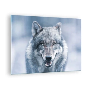 Obraz na skle - Vlk s prenikavým pohľadom na pozadí zasneženého lesa - 70x50cm - Prijmete túto výzvu? - Moderná nástenná dekorácia do obývacej izby a spálne ARTTOR