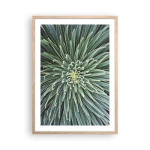 Plagát v ráme zo svetlého duba - Zrodenie hviezdy - 50x70 cm