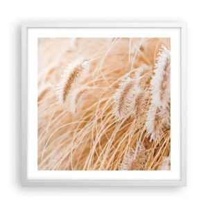 Plagát v bielom ráme - Zlaté šušťanie tráv - 50x50 cm