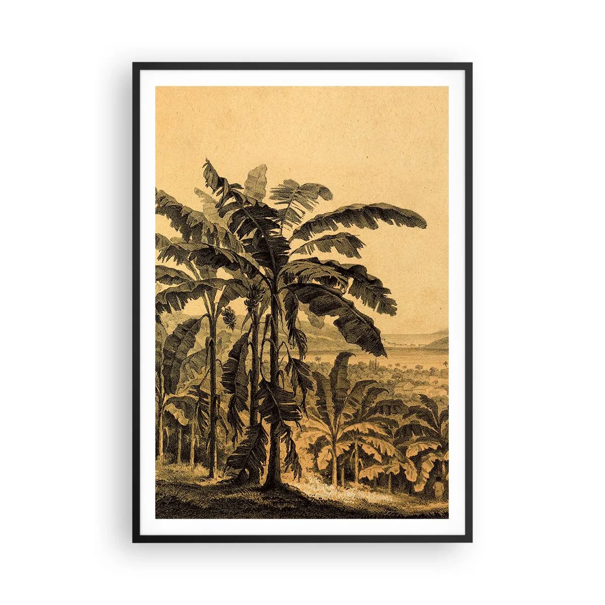 Plagát v čiernom ráme - V koloniálnom štýle - 70x100 cm