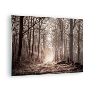 Obraz na skle - Lesná cesta v rannej hmle - 70x50cm - Lesná katedrála - Moderná nástenná dekorácia do obývacej izby a spálne ARTTOR