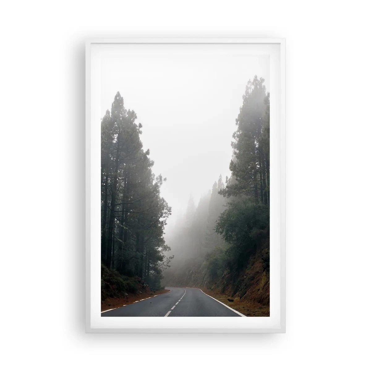 Plagát v bielom ráme - Príbeh kúzelného lesa - 61x91 cm