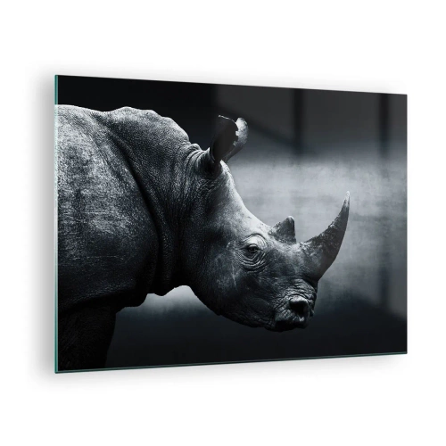 Obraz na skle - Čiernobiela snímka nosorožca - 70x50cm - Pravý profil - Moderná nástenná dekorácia do obývacej izby a spálne ARTTOR