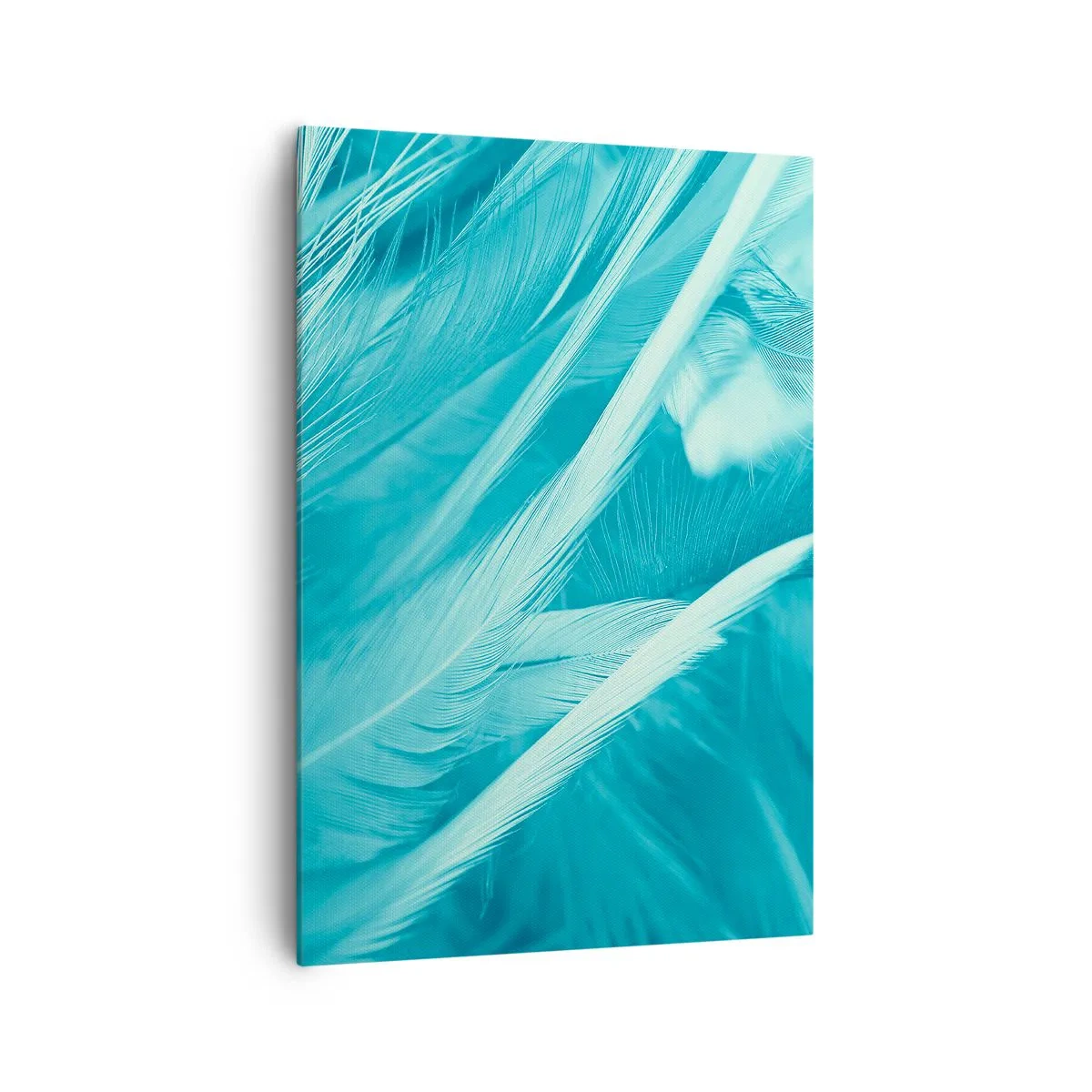 Obraz na plátne - Utopiť sa v páperí - 70x100 cm