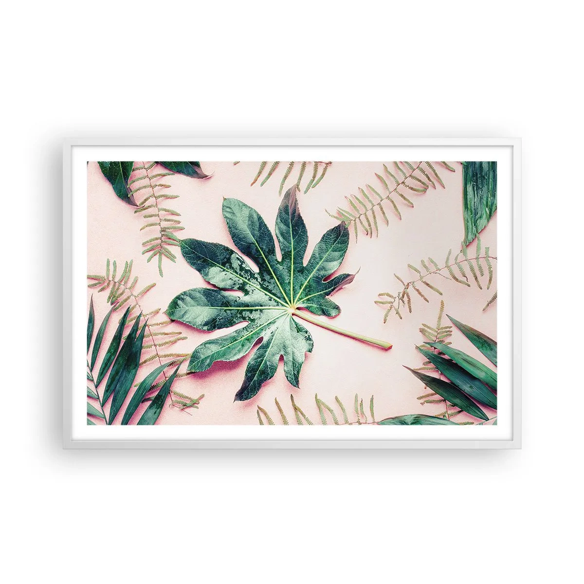 Plagát v bielom ráme - Štúdia zelenej na ružovom pozadí - 91x61 cm