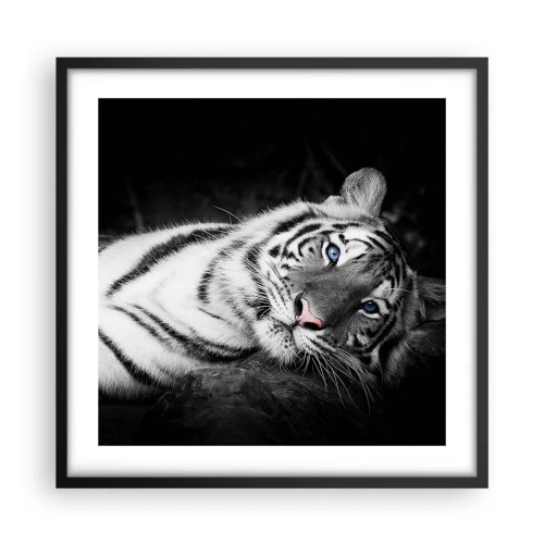 Plagát v čiernom ráme - Divočina a pokoj - 50x50 cm