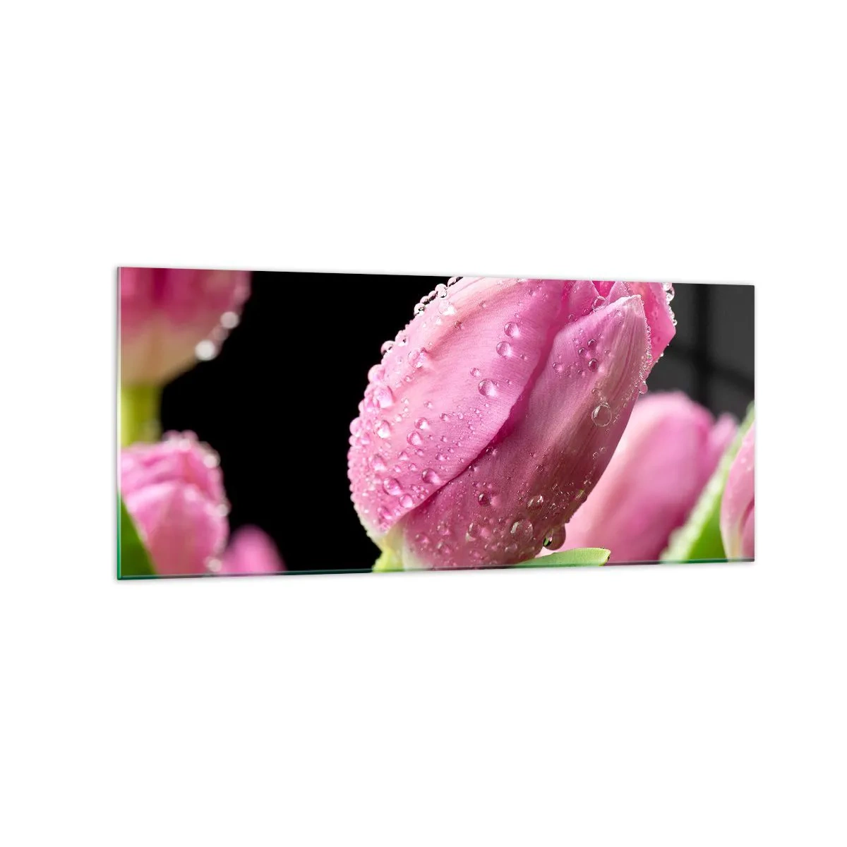 Obraz na skle - Ľaliový sen v rose - 120x50 cm