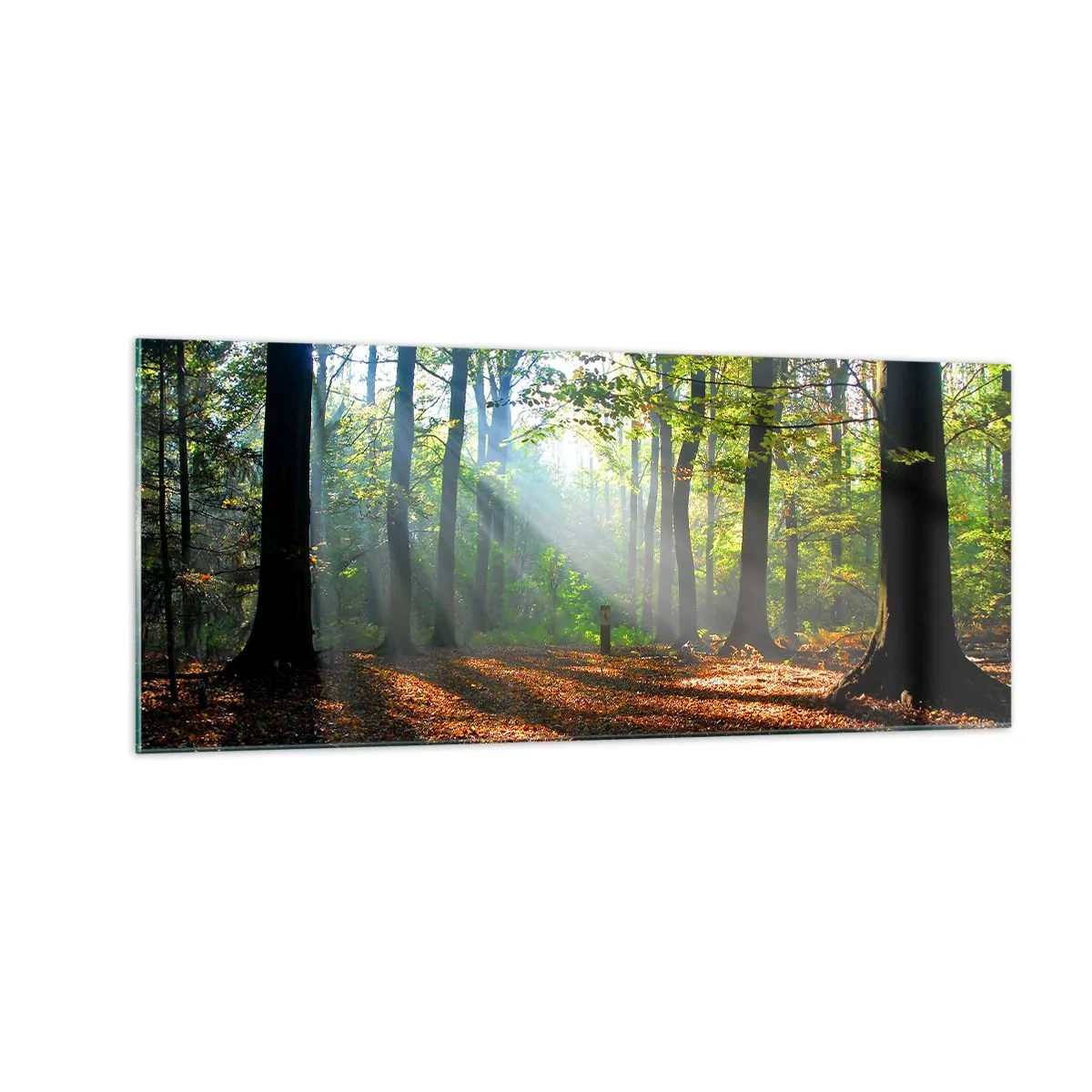 Obraz na skle - Svetlá a tiene - 100x40 cm