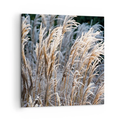 Obraz na plátne - Mrazom pokryté - 60x60 cm
