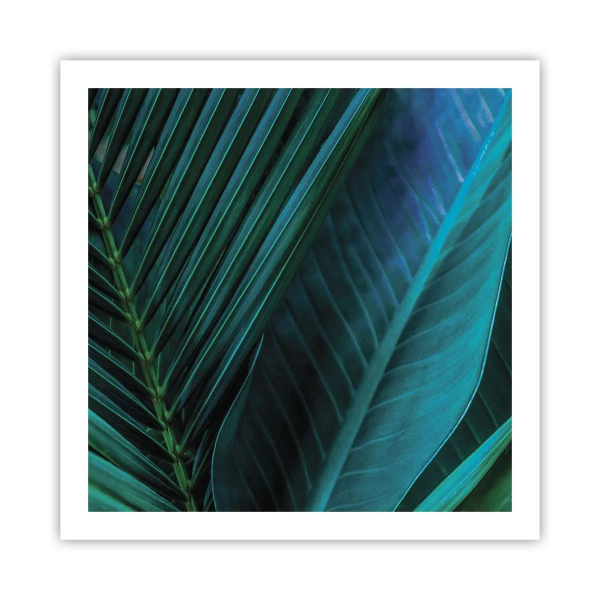 Plagát - Anatómia zelene - 60x60 cm