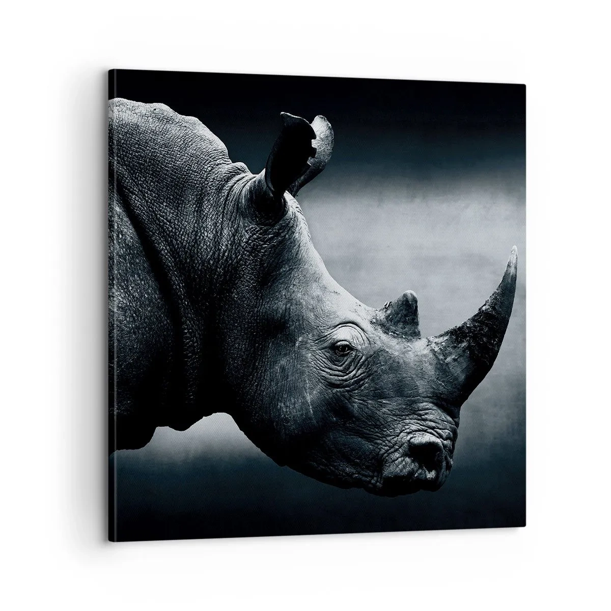 Obraz na plátne - Pravý profil - 60x60 cm