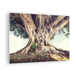 Obraz na skle - Tiger ležiaci pod rozľahlým stromom v džungli - 70x50cm - Pohľad z knihy Mojžišovej - Moderná nástenná dekorácia do obývacej izby a spálne ARTTOR
