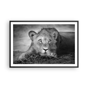 Plagát v čiernom ráme - Kráľovské šteňa - 91x61 cm