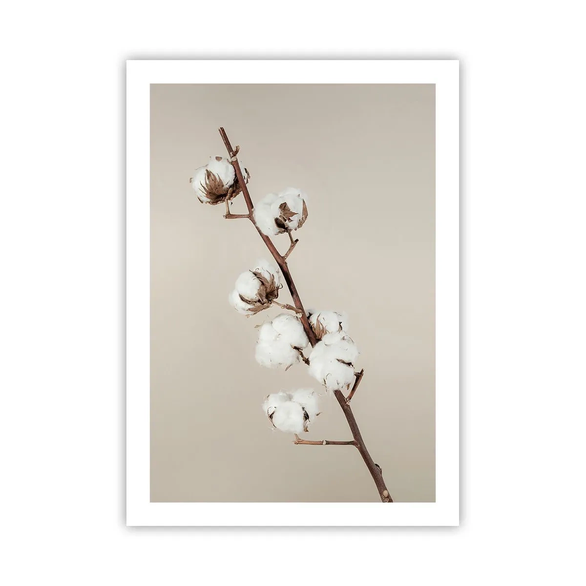 Plagát - Pri zdroji mäkkosti - 50x70 cm