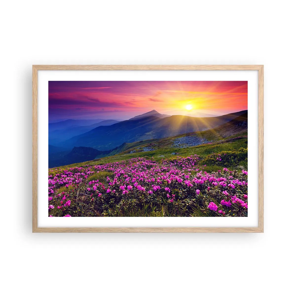 Plagát v ráme zo svetlého duba - …A okolo vonia kosodrevina a voňajú byliny - 70x50 cm