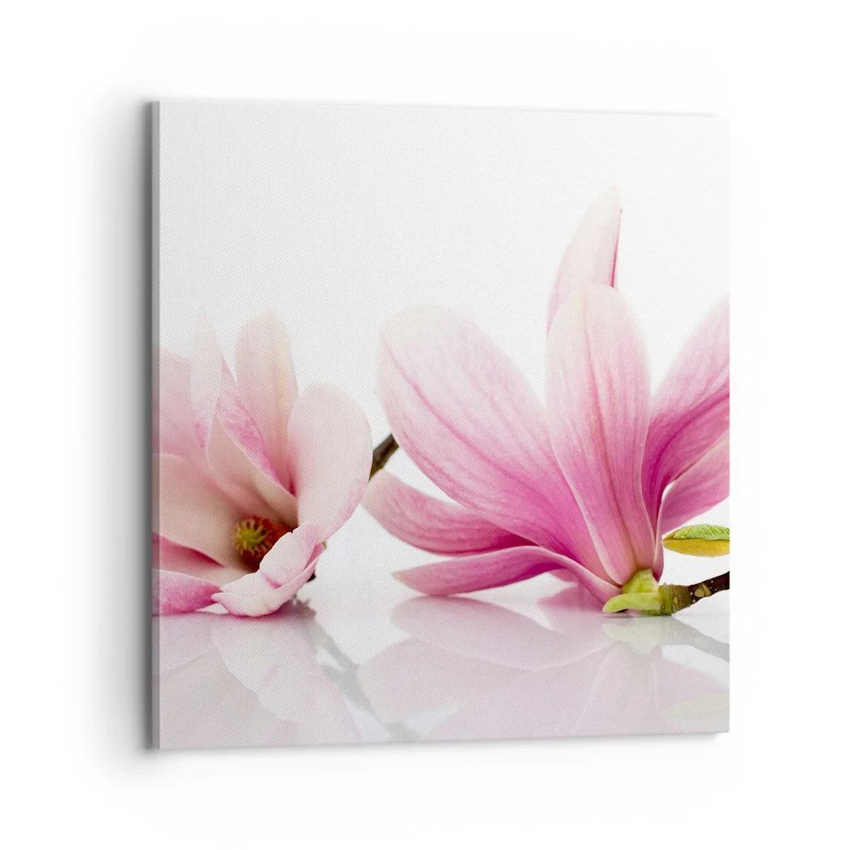 Obraz na plátne - Jemné ako závan jari - 70x70 cm