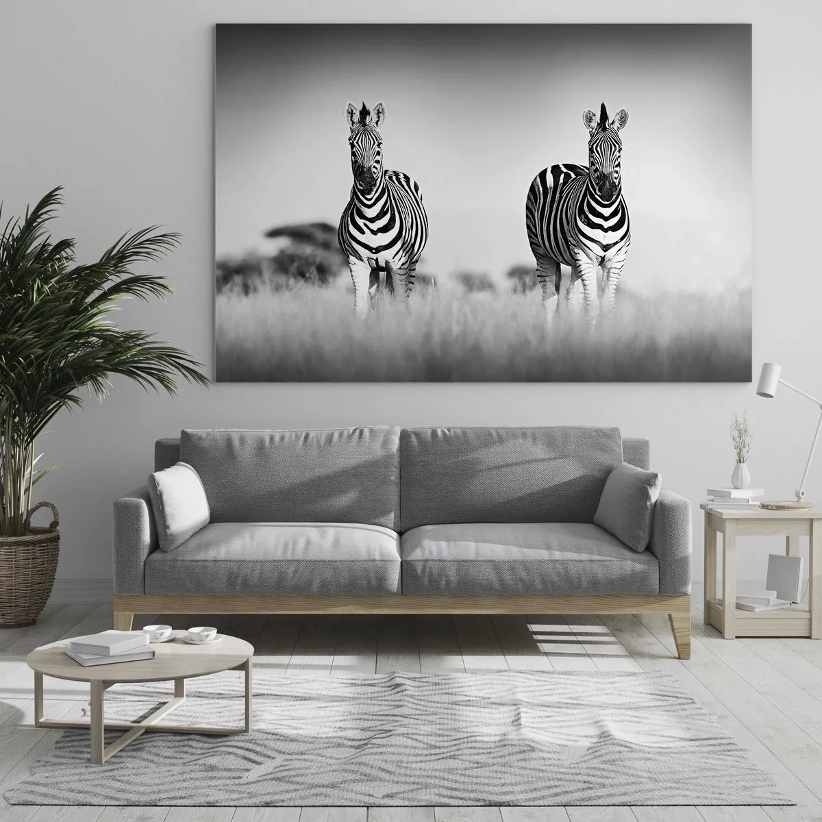 Obraz na skle - Pár zebier na čiernobielom trávnatom pozadí, zobrazený v ich prirodzenom prostredí. - 70x50cm - A svet je aj tak čierno-biely - Moderná nástenná dekorácia do obývacej izby a spálne ARTTOR