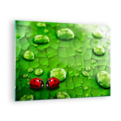 Obraz na skle - Dve lienky na zelenom liste s kvapkami vody - 70x50cm - Stretnutie v zeleni - Moderná nástenná dekorácia do obývacej izby a spálne ARTTOR