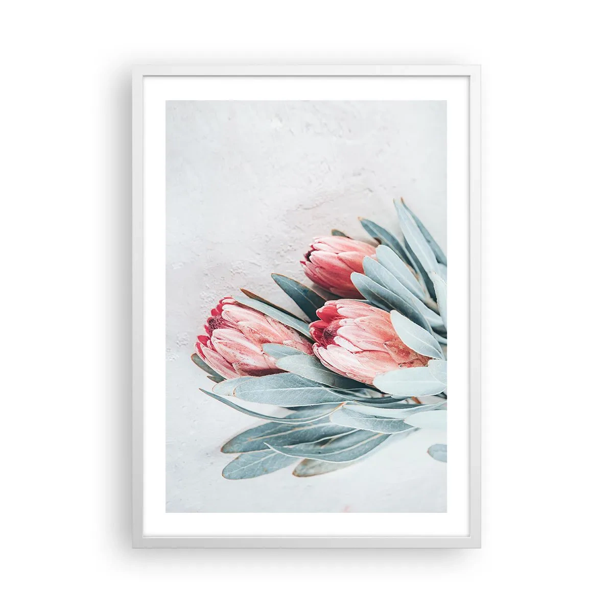 Plagát v bielom ráme - Zahanbené svojou vlastnou krásou - 50x70 cm