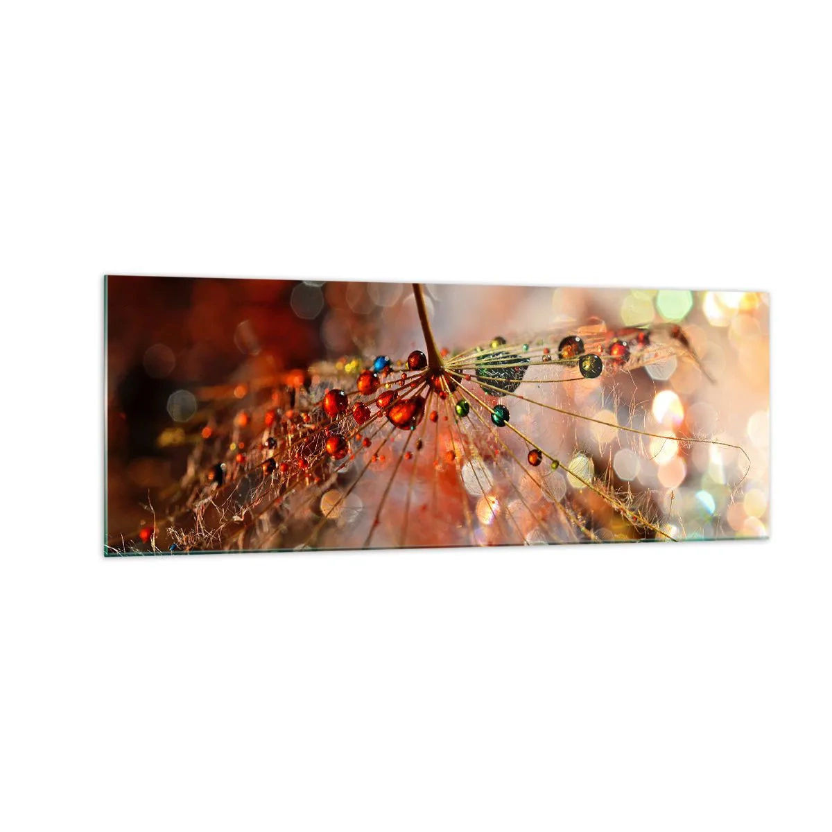 Obraz na skle - Navlečené na pavučinu - 140x50 cm