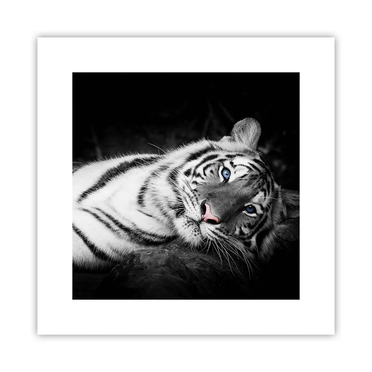 Plagát - Divočina a pokoj - 30x30 cm