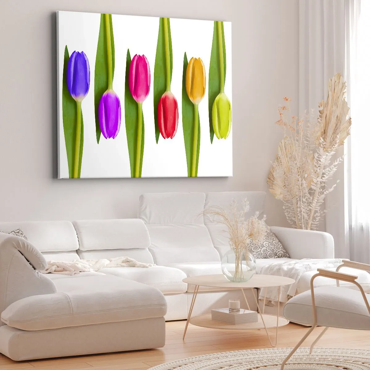 Obraz na plátne - Viacfarebné tulipány usporiadané v rade na bielom pozadí - 70x50cm - Dúhová kompozícia - Moderná nástenná dekorácia do obývacej izby a spálne ARTTOR