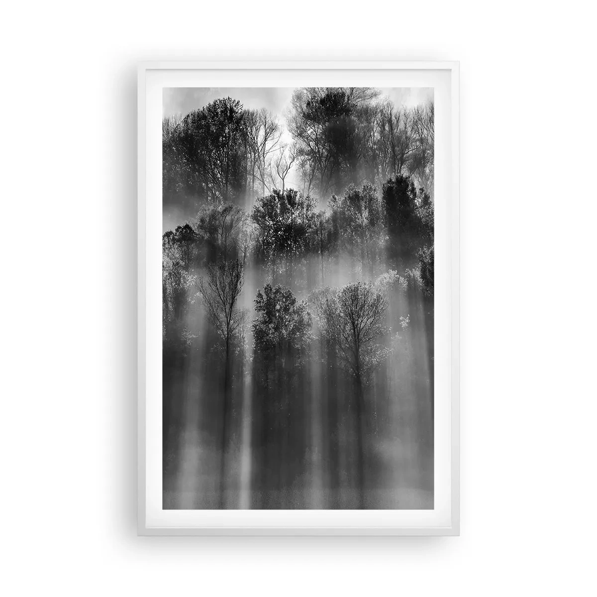 Plagát v bielom ráme - V lúčoch svetla - 61x91 cm