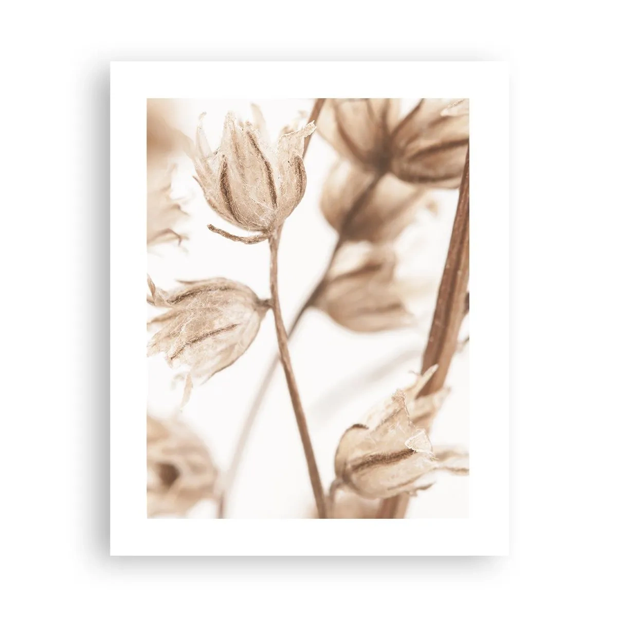 Plagát - Ozveny konca leta - 40x50 cm