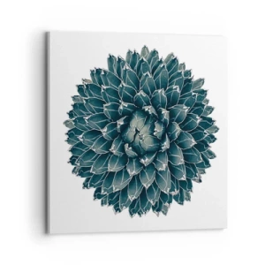 Obraz na plátne - Hviezda púšte - 70x70 cm