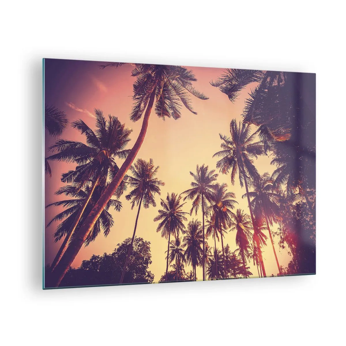 Obraz na skle - Palmy v lúčoch zapadajúceho slnka - 70x50cm - Tropická variácia - Moderná nástenná dekorácia do obývacej izby a spálne ARTTOR