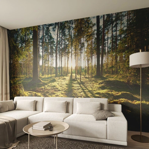 Fototapeta Premium Sand - …Za siedmimi lesmi - Krajina, les, Príroda - 100x70 cm